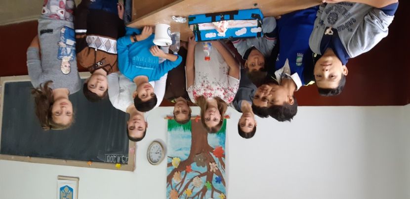  - 2019 Vulcanii si multe excursii in scoli