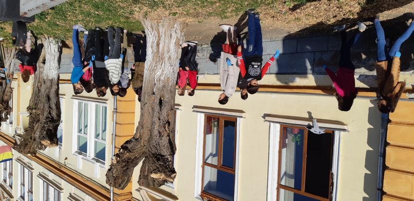  - 2019 Vulcanii si multe excursii in scoli