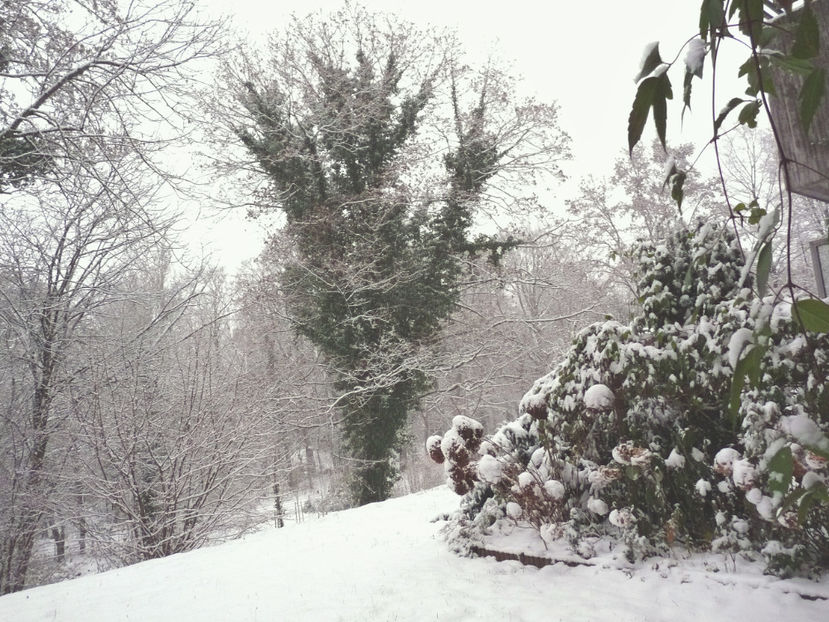  - 2020 - 04 - 2021 - 00 - Iarna