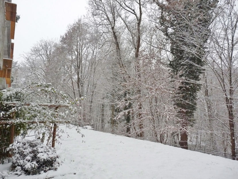  - 2020 - 04 - 2021 - 00 - Iarna