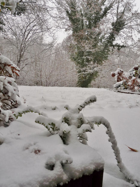  - 2020 - 04 - 2021 - 00 - Iarna