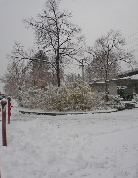  - 2020 - 04 - 2021 - 00 - Iarna