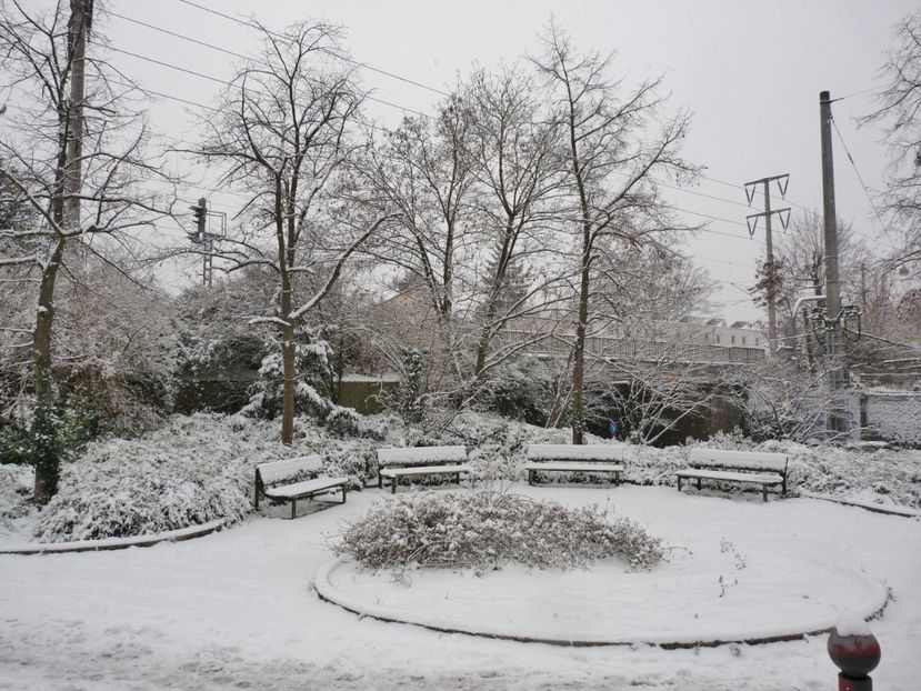  - 2020 - 04 - 2021 - 00 - Iarna