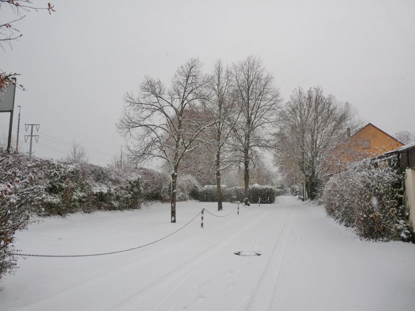  - 2020 - 04 - 2021 - 00 - Iarna