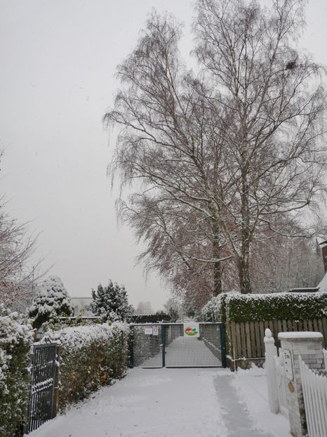  - 2020 - 04 - 2021 - 00 - Iarna