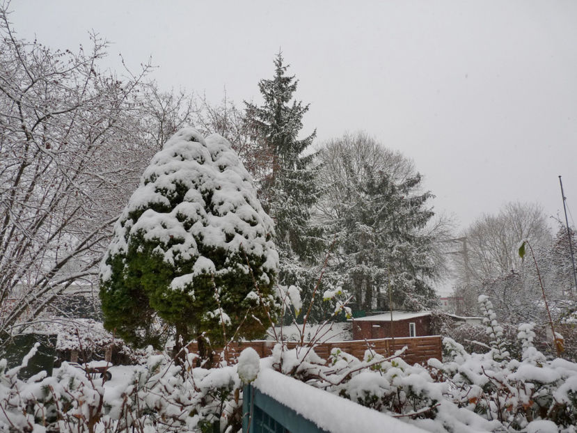  - 2020 - 04 - 2021 - 00 - Iarna