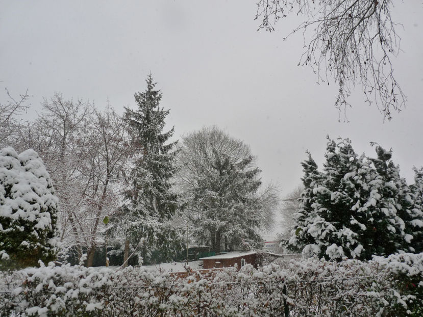  - 2020 - 04 - 2021 - 00 - Iarna