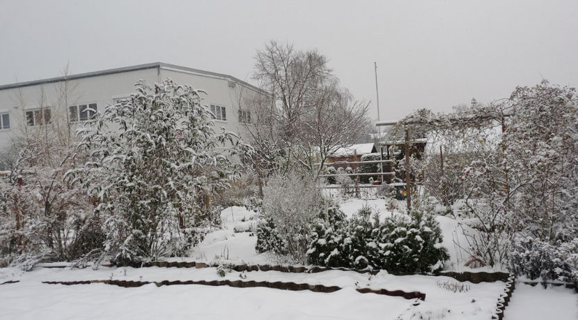  - 2020 - 04 - 2021 - 00 - Iarna