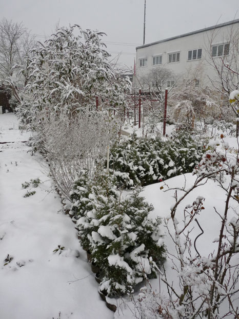  - 2020 - 04 - 2021 - 00 - Iarna