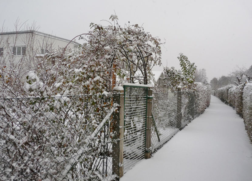  - 2020 - 04 - 2021 - 00 - Iarna