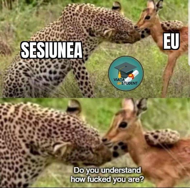  - are there any good ones left