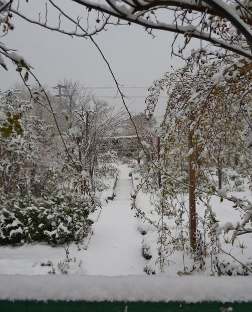  - 2020 - 04 - 2021 - 00 - Iarna