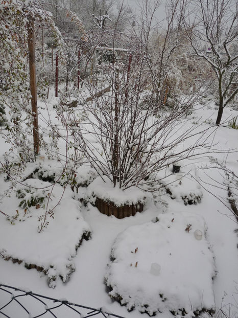  - 2020 - 04 - 2021 - 00 - Iarna