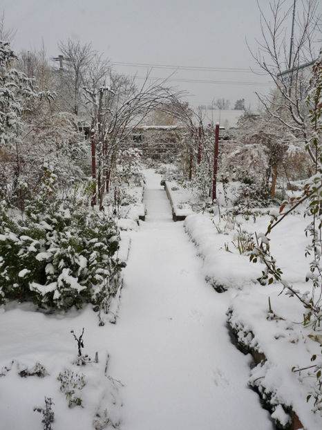  - 2020 - 04 - 2021 - 00 - Iarna