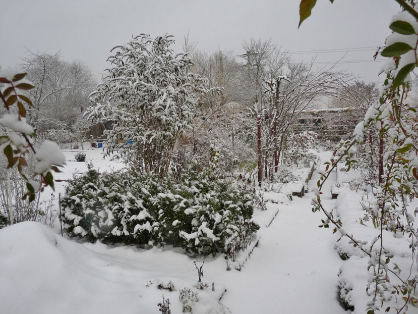  - 2020 - 04 - 2021 - 00 - Iarna