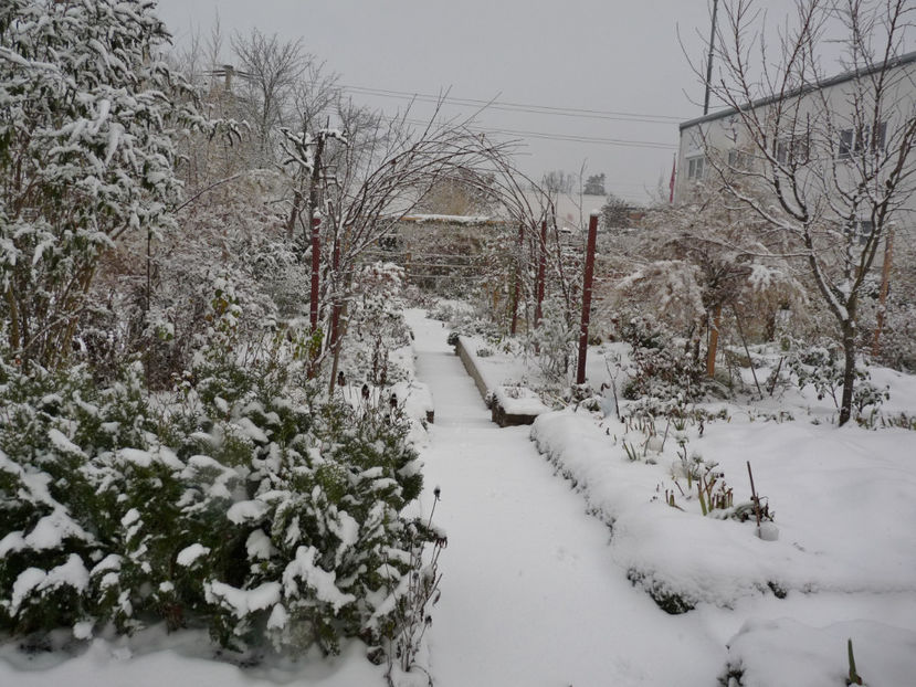  - 2020 - 04 - 2021 - 00 - Iarna