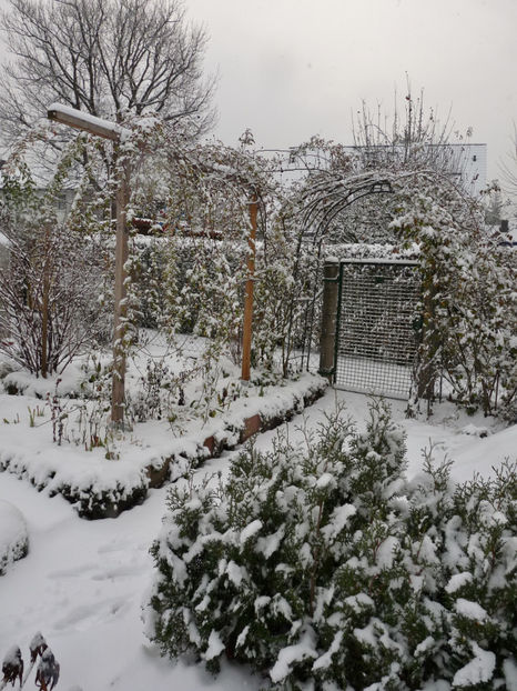  - 2020 - 04 - 2021 - 00 - Iarna