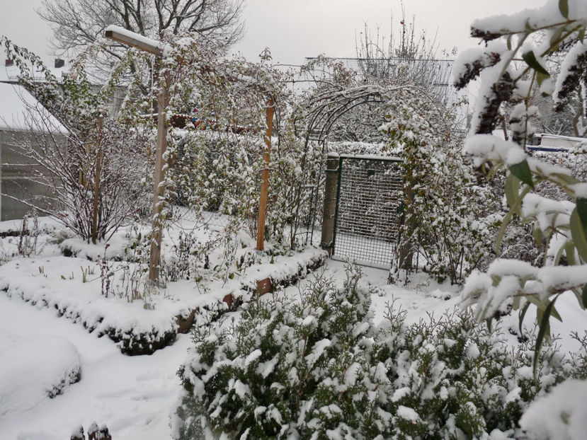  - 2020 - 04 - 2021 - 00 - Iarna