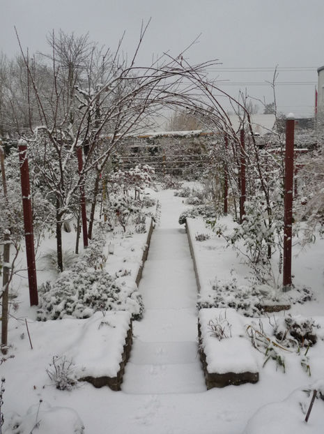  - 2020 - 04 - 2021 - 00 - Iarna