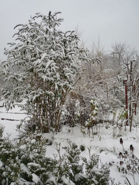  - 2020 - 04 - 2021 - 00 - Iarna