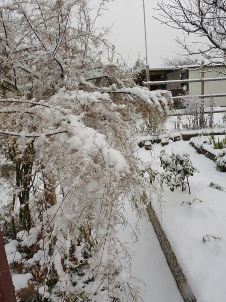  - 2020 - 04 - 2021 - 00 - Iarna