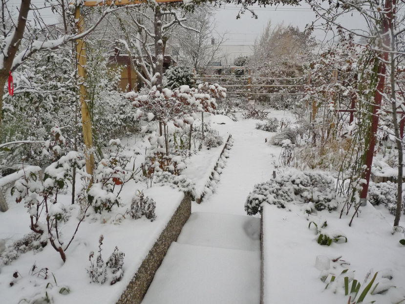  - 2020 - 04 - 2021 - 00 - Iarna