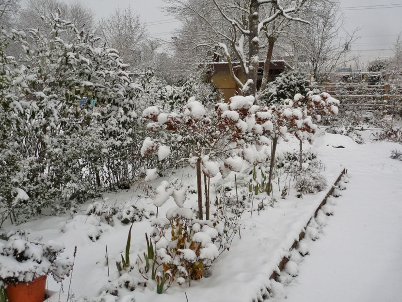  - 2020 - 04 - 2021 - 00 - Iarna