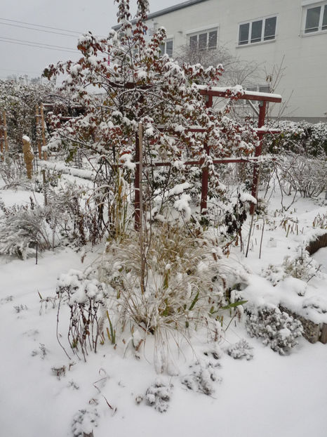  - 2020 - 04 - 2021 - 00 - Iarna