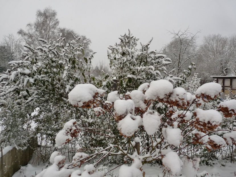  - 2020 - 04 - 2021 - 00 - Iarna