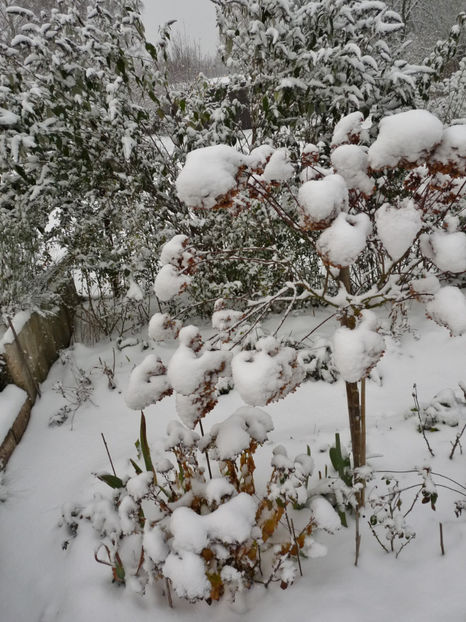  - 2020 - 04 - 2021 - 00 - Iarna