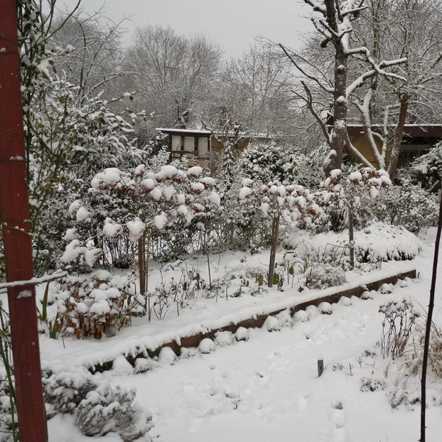  - 2020 - 04 - 2021 - 00 - Iarna