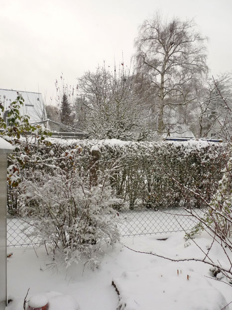  - 2020 - 04 - 2021 - 00 - Iarna