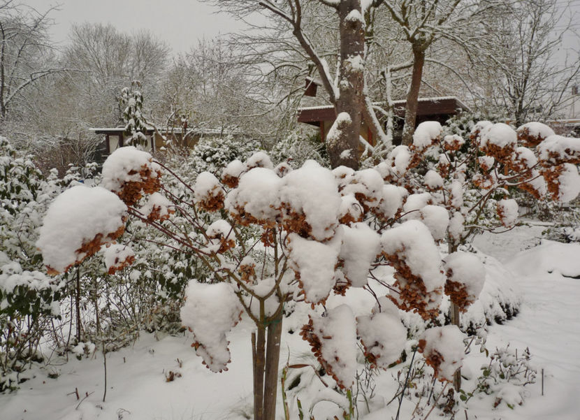  - 2020 - 04 - 2021 - 00 - Iarna