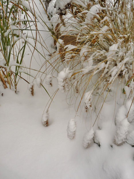  - 2020 - 04 - 2021 - 00 - Iarna