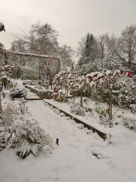  - 2020 - 04 - 2021 - 00 - Iarna