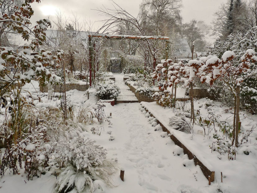  - 2020 - 04 - 2021 - 00 - Iarna