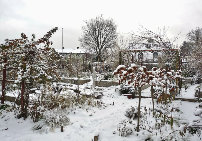  - 2020 - 04 - 2021 - 00 - Iarna