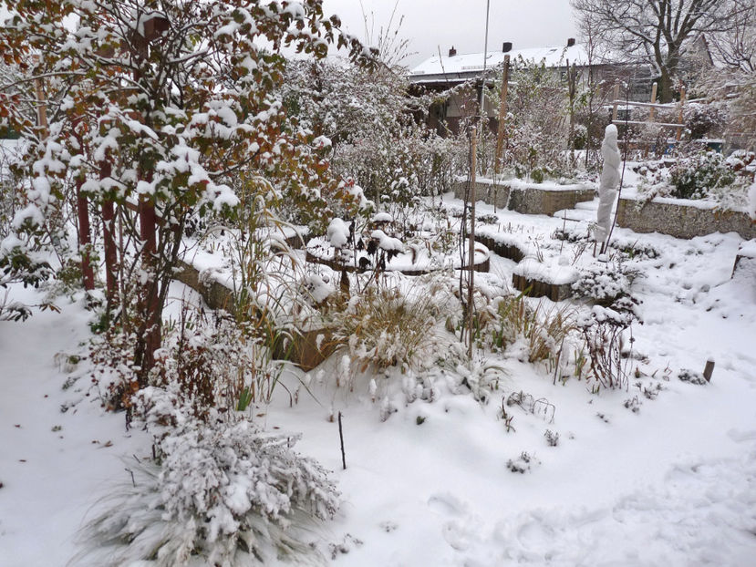  - 2020 - 04 - 2021 - 00 - Iarna