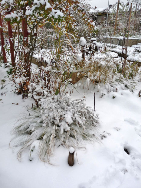  - 2020 - 04 - 2021 - 00 - Iarna