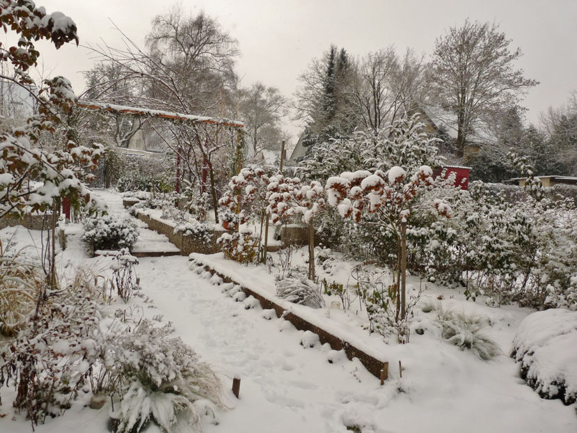  - 2020 - 04 - 2021 - 00 - Iarna