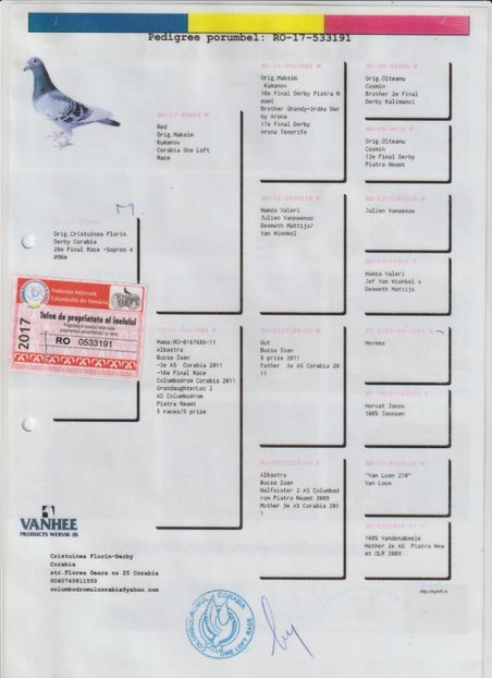RO 533191 / 17 ped M - Loc 29 fin ARAD M
