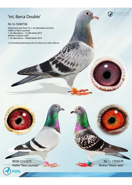 INT BARCA DOUBLE - BUNIC - YOUNG WITTBUIK - nepot din NEW WITTBUIK locul 1 național Barcelona 2012