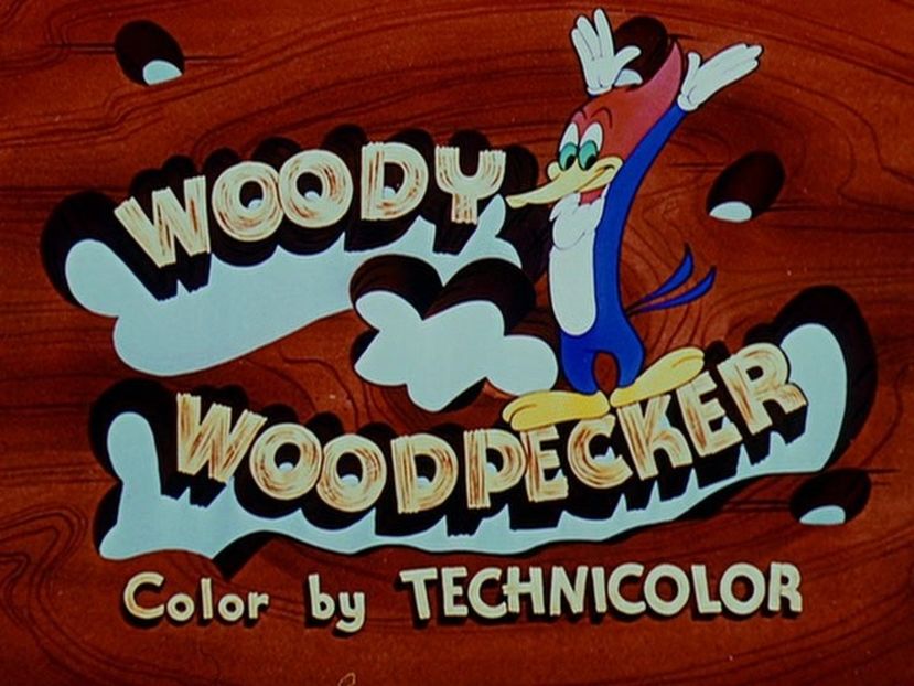 Ciocanitoarea Woody - Ciocanitoarea Woody