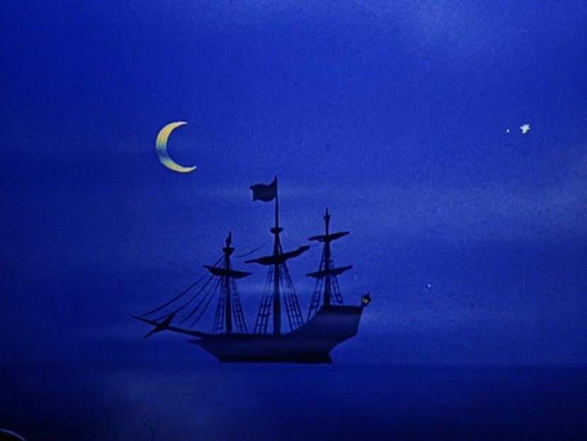 Ciocanitoarea Woody - Ciocanitoarea Woody