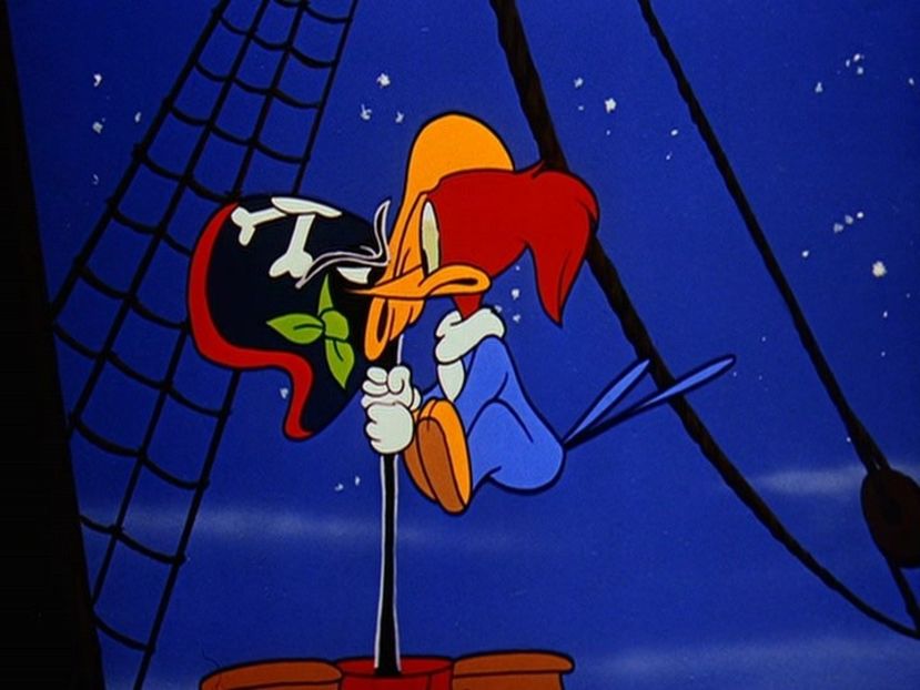 Ciocanitoarea Woody - Ciocanitoarea Woody