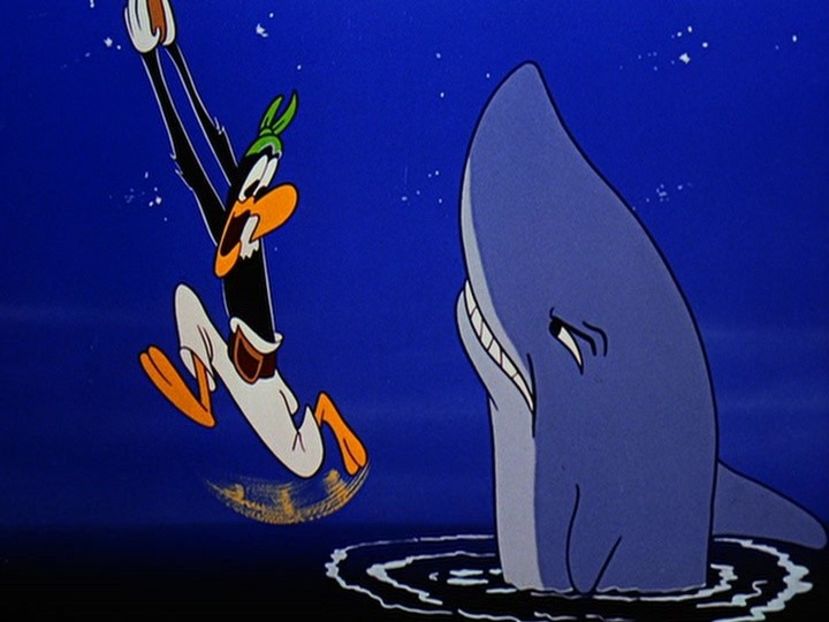 Ciocanitoarea Woody - Ciocanitoarea Woody