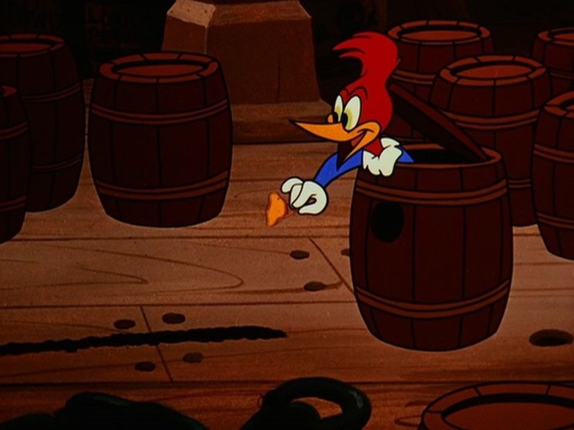 Ciocanitoarea Woody - Ciocanitoarea Woody