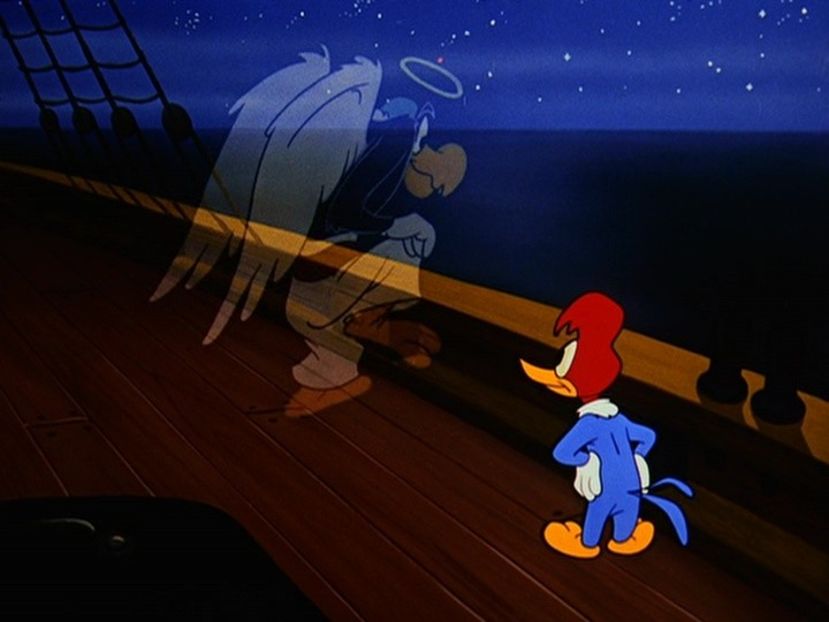 Ciocanitoarea Woody - Ciocanitoarea Woody