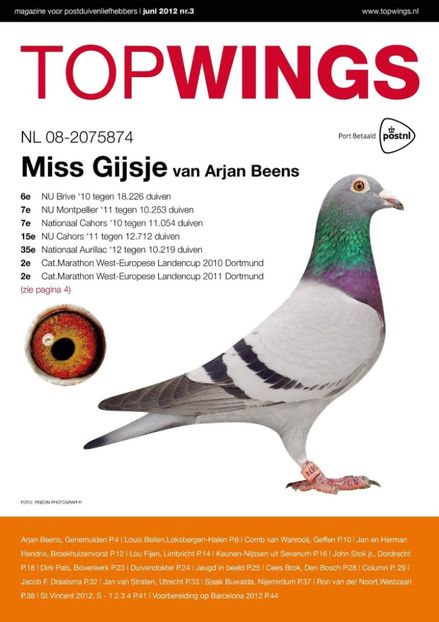 Miss_Gijsje_0 (4) - Vochin George Gizela