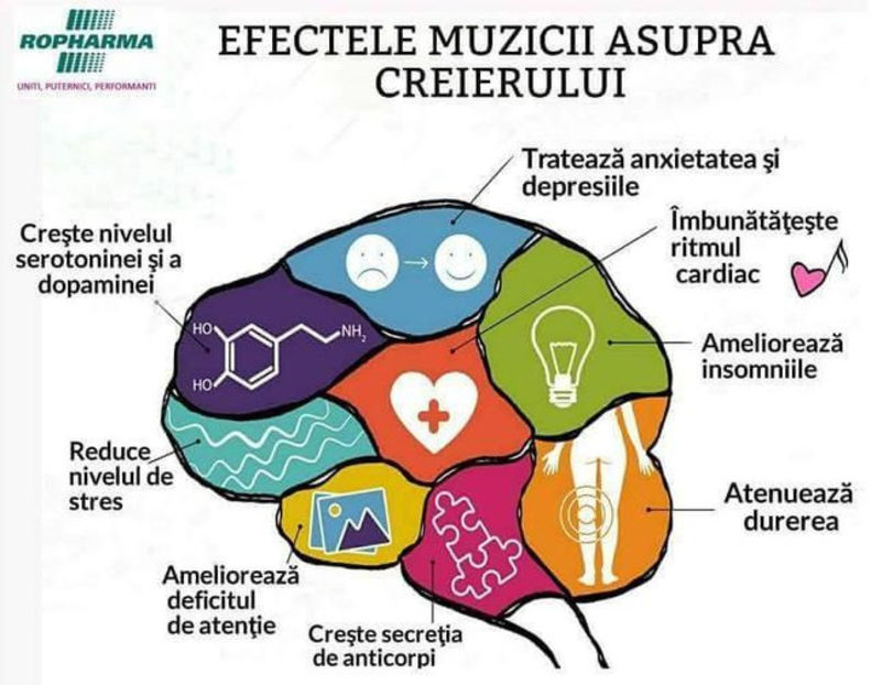  - Sfaturi Utile
